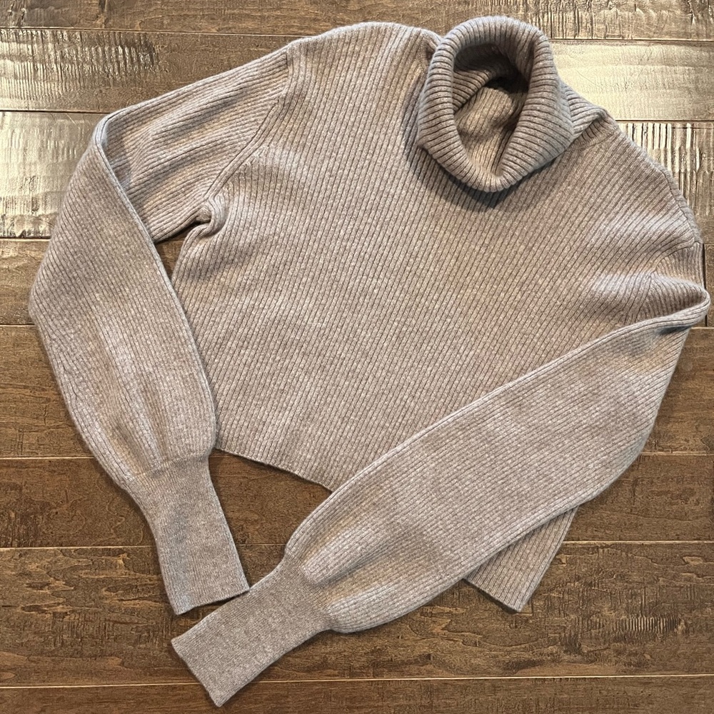 Cropped Reformation Turtleneck